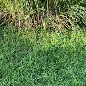 運動始めましたの画像