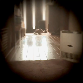 今日のマロンの画像