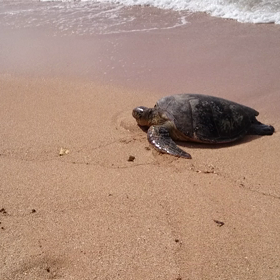 社員旅行②の画像