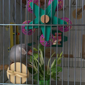 Crazy about Tomyoの画像