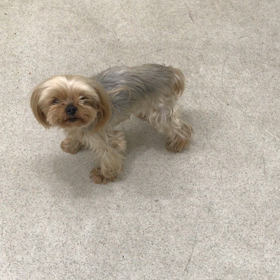 ♪プレイルーム動画♪の画像