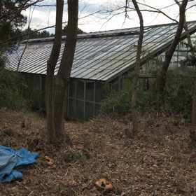 茨城ドリームランドの画像