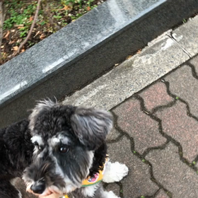 鼻水ジュルジュルの画像