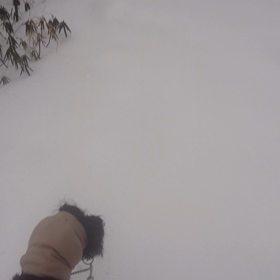 スノーシューwith  Dogの画像