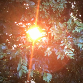 何をしてよいのかわからなくなるの画像