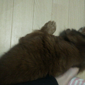 だいぶ暖かくなりましたね！の画像