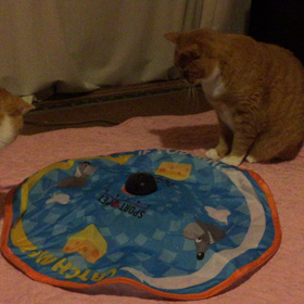 プーピー動画☆の画像