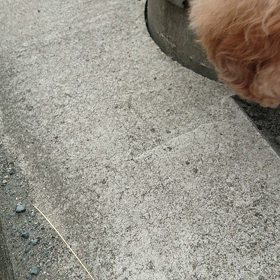 カニvs艶珠の画像