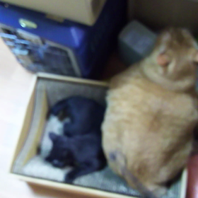 忘れてた(笑)の画像