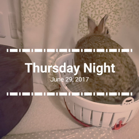 うさんぽ ももちゃん(*^^*)の画像