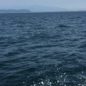 初釣りシーラの画像