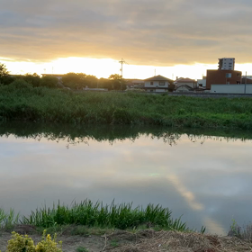 今日の朝んぽ（7/19）の画像