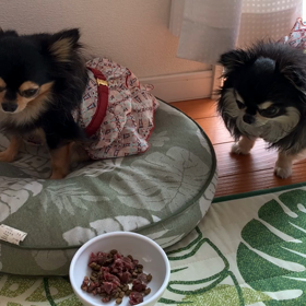 シェリの食欲の画像