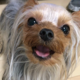 おしゃべりマン…の画像