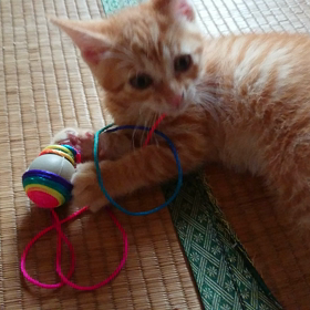 バタバタした日。の画像