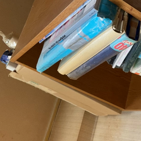 人間性訴えヤンキー、さなかの画像