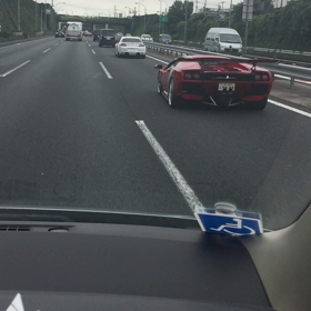 暑いから、賑やか？の画像