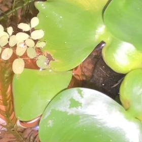 幸せ者Part２の画像