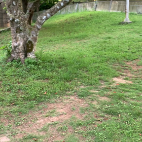 【女子ソロキャンプ】こんな山奥で女ひとりキャンプ飯【失業】沖縄キャンプ生活の画像