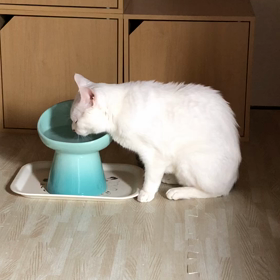 みず　が　うまいの画像