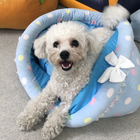 ♪プレイルーム動画♪の画像