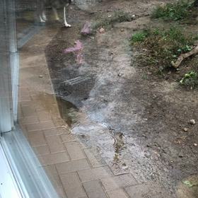 円山動物園 ⑥の画像