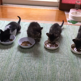 整列にはまだまだの画像