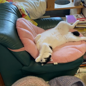 お久しぶりも、相変わらずのやつの画像