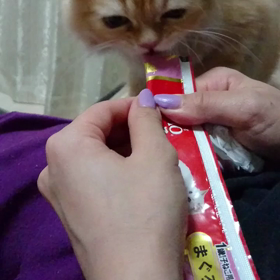 再登場☆☆の画像