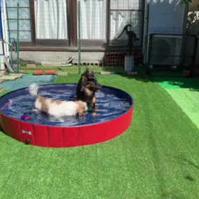 何でも除菌、抗菌、消毒の画像