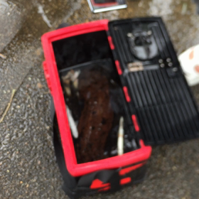 オオサンショウウオの画像