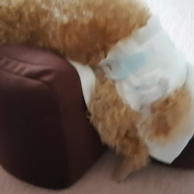 19歳5ヶ月ですの画像