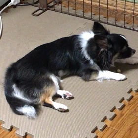 眠くて、全てゼロ。の画像