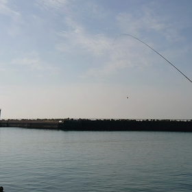 デビューしました。の画像