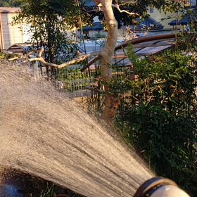 水やりしている時に…、一瞬で見えた虹の画像
