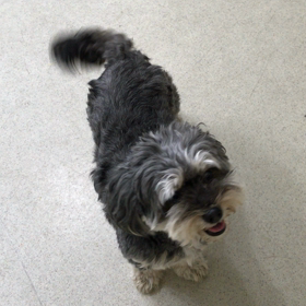 ♪プレイルーム動画♪の画像