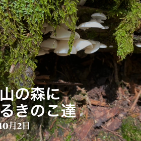 ほんまにもっともっと知りたい森の中の物語 り　(きのこ編)の画像