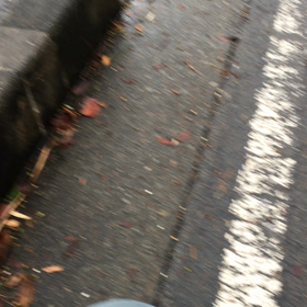 拳を上げろー！頭振れー！の画像