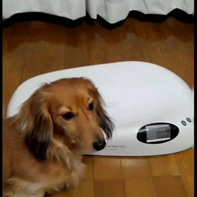 体重測定の画像