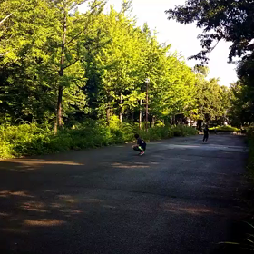 ８月１日 記録会⑦の画像