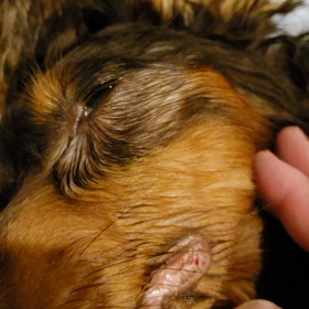 最期の動画の画像