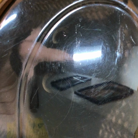 ニコ髭その後の画像