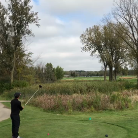 フェードの画像