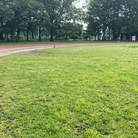 5/21 リレー特別練習⑪の画像