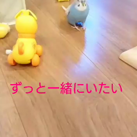 カメラ目線で『ずっと一緒にいたい❤️』の画像