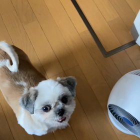 一歩づつの画像