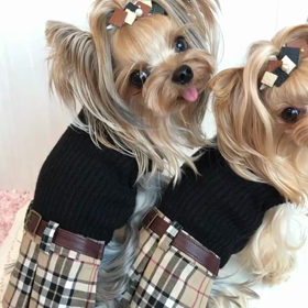 ありがとうございましたの画像