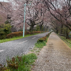 雨の日のお出掛けの画像