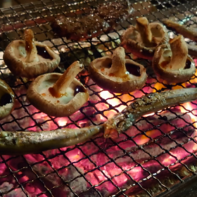 シイタケとシシャモを炭焼きで高笑い。の画像