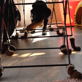 びびちゃん その後の画像